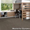Dynamo Commercial Carpet Tiles dynamo install with bunk.