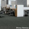 Genius Commercial Carpet Tiles genius-install-2.