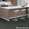 Genius Commercial Carpet Tiles genius install 3.