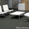 Genius Commercial Carpet Tiles genius install 5.