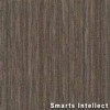 Intellect Commercial Carpet Tiles smarts intellect full.
