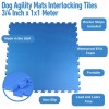 Dog Agility Mats infographic