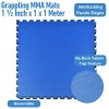 Grappling MMA Mat infographic