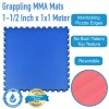 Grappling MMA Mat infographic