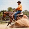 2020 National Horse Trainer of the Year Bill Brown thumbnail