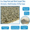 In a Snap Peel and Stick Carpet Tiles infographic