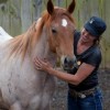 Kelly Murphy-Alley Striking KMA Performance Horses Greatmats thumbnail