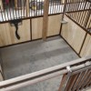 horse stall with rubber stable mats thumbnail