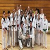 USA Taekwondo Wisconsin State Championships thumbnail
