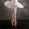 Rosco Adagio Marley Floor Touring portable ballet flooring