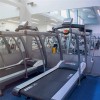 Performance Motivate 7.5 mm Rolls per SF Premium Blue with Treadmills