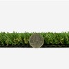 ZeroLawn Basic Artificial Grass Turf 1 Inch x 15 Ft. Wide per SF thickness compared to coin