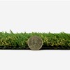 ZeroLawn Choice Artificial Grass Turf 1-1/4 Inch x 15 Ft. Wide per SF Top coin thickness comparsion