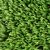ZeroLawn Classic Artificial Grass Turf 1-1/2 Inch x 15 Ft. Wide per SF Top close up
