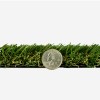 ZeroLawn Standard Artificial Grass Turf 1-1/2 Inch x 15 Ft. Wide per SF coin to show thickenss