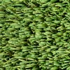 ZeroLawn Standard Artificial Grass Turf 1-1/2 Inch x 15 Ft. Wide per SF Top close up