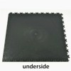 supratile underside