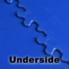 supratile underside