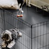 G-Floor Protective Kennel Floor Mat 5x10 Ft. two dogs on slate gray mat