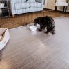 G-Floor Protective Kennel Floor Mat Ceramic Texture 1.4 mm x 5x10 Ft. clear with pet and bowl