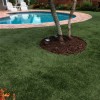 La Jolla Artificial Turf Roll 15 Ft Back yard 
