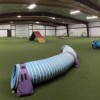 Dog Agility Artificial Grass Turf