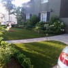 Catalina Artificial Turf Roll 15 Ft wide Brick Path