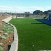 Catalina Artificial Turf Roll 15 Ft wide Backyard