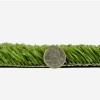Chipper's Choice Artificial Turf Roll thickness comparison with quarter