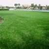 Large residential install Countryside Deluxe Artificial Turf Roll 1-1/2 Inch x 7.5 Ft. Wide Per SF