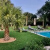 artificial turf lawn near in ground pool with palm trees in lawn and patio chairs and concrete pavers