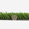 Countryside Deluxe Artificial Turf thickness comparison with quarter