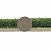 Thickness compared to quarter of Drill Turf Max Artificial Grass Turf 5mm Padded 3/4 Inch x 15 Ft. Wide Per SF