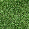 Play Time Artificial Grass Turf Roll 15 Ft Turf