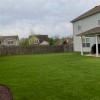 Sunny Sod Artificial Turf Roll 1-1/2 Inch x 15 Ft. Wide Per SF Backyard home and fence