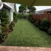 Sunny Sod Artificial Turf Roll 1-1/2 Inch x 15 Ft. Wide Per SF Residential turf landscape