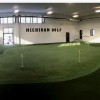 True Turf Artificial Grass Turf Roll 15 Ft golf 