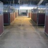 Horse Stall Mats Kits barn hallway aisle