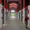 Horse Stall Mats Kits showing stable