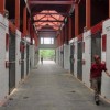 Horse Stall Mats Kits showing horse barn