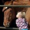 Quarter Moon Acres Equine Assisted Therapy Horse and Child thumbnail