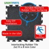 Interlocking Rubber Tile 2x2 Ft x 8 mm Color info graphic