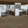 Out of Bounds Commercial Carpet Tile .25 Inch x 2x2 Ft. 13 per Carton Cubicles in Office color Meld