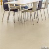 LonFloor Galvanized Topseal Commercial brass Install 