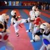 Pro Taekwondo Martial Arts Floor Mats Sport 20 mm kids 