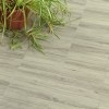 Dove Gray install with a plant