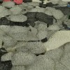 Texture close up StrongPlay Foam Pad 1 inch x 4x5 Ft.
