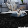 HomeStyle Stone Floor Tile cambrian black living room with cat