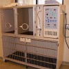 Veterinary Care Unit with Black HVD Kennel Matting Roll 13.5 mm x 4x33 Ft.