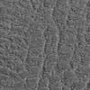 Leather PVC Floor Tile Black or Dark Gray 6 tiles Dark Gray Swatch